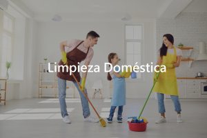 Limpieza Domestica